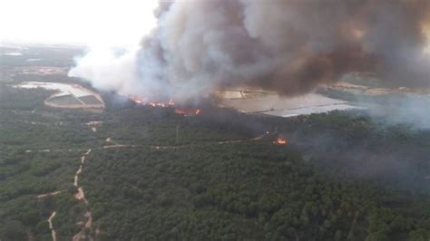 La cifra de evacuados por el incendio en Doñana se eleva a más de 2 000