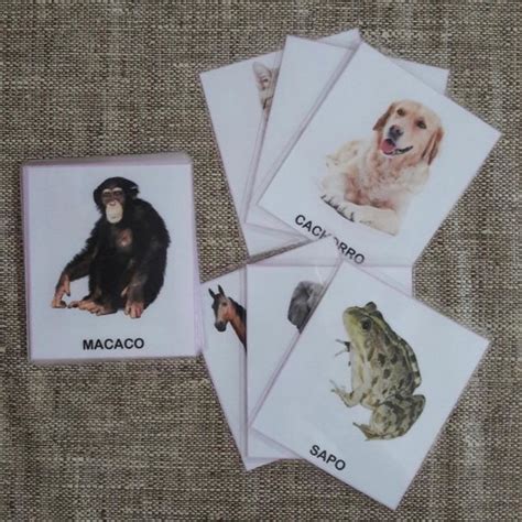 Cards Animais Portugues Ingles Elo