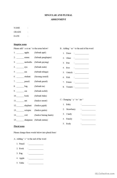 Singular And Plural Noun General Gra Deutsch Daf Arbeitsbl Tter Pdf Doc