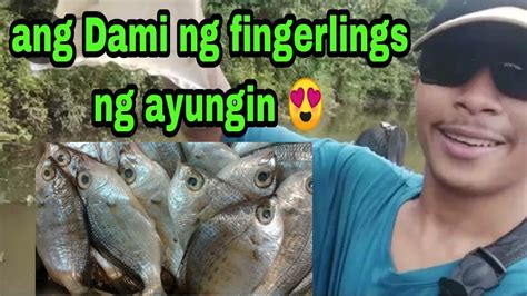 Catching Ayungin Fingerlings In The Wild Philippines Youtube