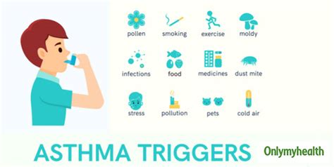 World Asthma Day 2020: Know Your Asthma Triggers By Pulmonologist ...