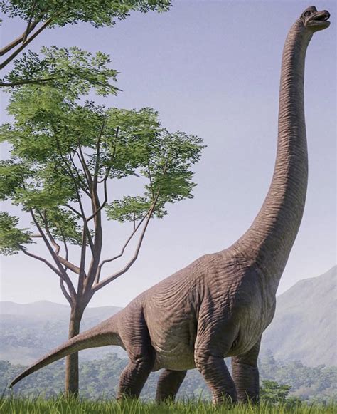 Brachiosaurus Dinosaur