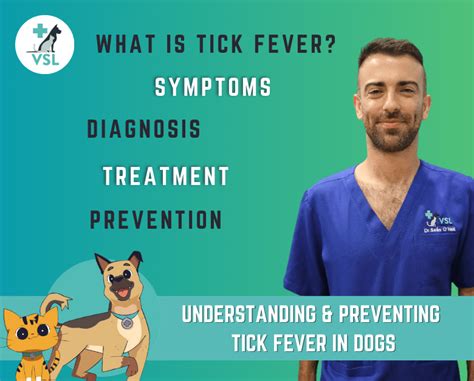 Safeguarding dogs: Understanding & preventing tick fever - VSL ...