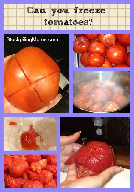 Can You Freeze Tomatoes In 2024 Freezing Tomatoes Tomato Harvest Recipes