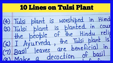 10 Lines On Tulsi Plant In English Short Essay On Tulsi Plant In