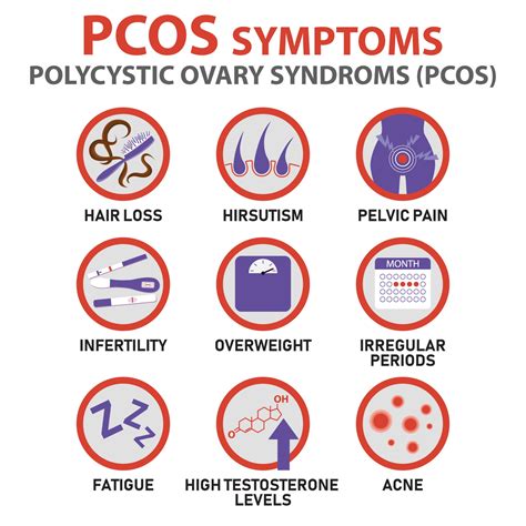 Pcos Symptoms Infographics Vector Art At Vecteezy 588 The Best Porn