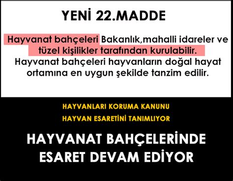 Yeni Hayvan Hakları Yasa Tasarısının İçeriği ve Tuzak Maddeler