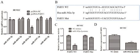 Mechanism Of Exosomal Lncrna Part In Esophageal Cancer Angiogenesis By