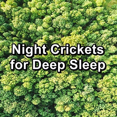 Amazon Music Nature Noise Cricket Sounds Sleep Crickets Night