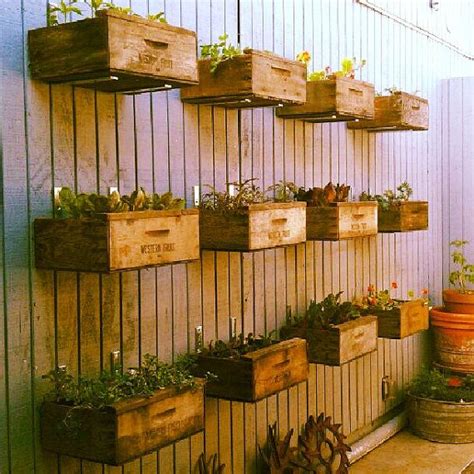 Vintage Crate Planters Succulents Inhome Gardens Cageots Vintage