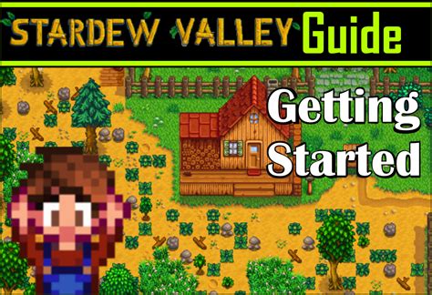 Stardew Valley Guide For Beginners Videogame Guy