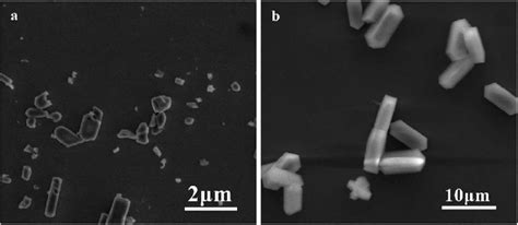 Sem Micrographs Of Silicalite 1 Powders A S1 And B S2 Download