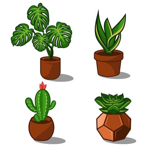 Conjunto De Plantas Premium Vector Freepik Vector Flor Hoja