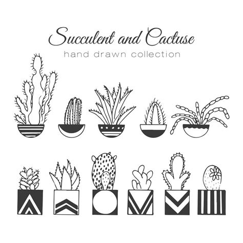 Hand Drawn Succulent And Cacti Set 275105 Vector Art At Vecteezy