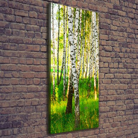 Leinwand Bild Kunstdruck Hochformat X Bilder Birkenwald Ebay