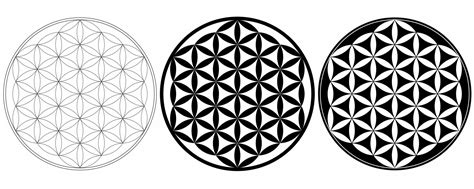 Outline Silhouette Flower Of Life Symbol Set Isolated On White Background 22445023 Vector Art At