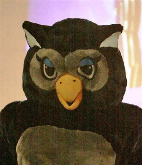 Rice Unveils New Sammy The Owl Mascot Cfb