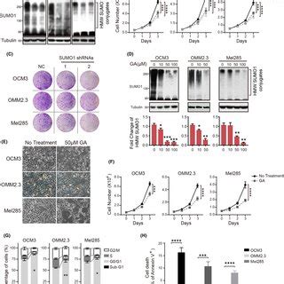 Increased Global Small Ubiquitinlike Modifier SUMO Ylation In Uveal