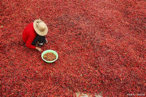 存在感低的江西，凭什么那么能吃辣？农村人告诉你内因！