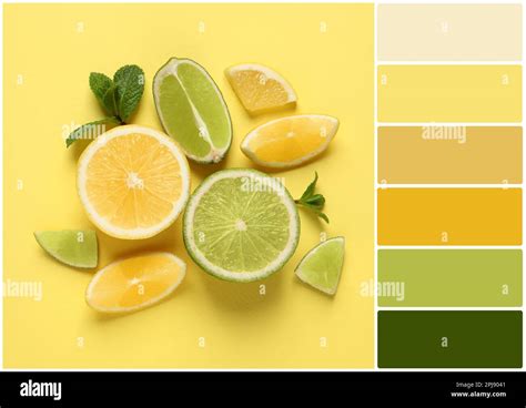 Color Palette And Fresh Ripe Lemons Limes And Mint Leaves On Yellow