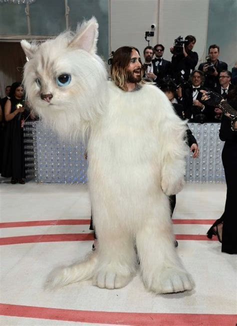 Met Gala Doja Cat Jared Leto Cat Inspired Looks Spark Troll Online