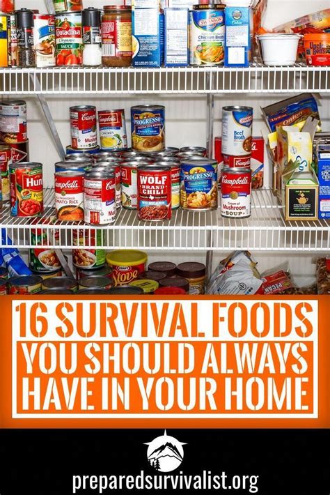 Survival Foods For Surviving The Apocalypse These Survival Foods