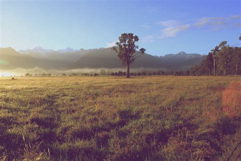 Free Images Landscape Tree Nature Forest Outdoor Horizon Marsh