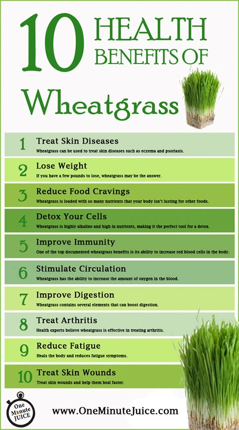 10 Amazing Benefits Of Wheatgrass Fithabits Juicingdetoxcleanse