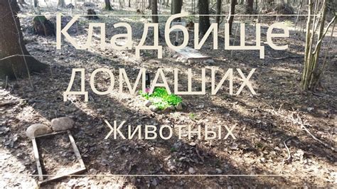 Кладбище домашних животных - YouTube