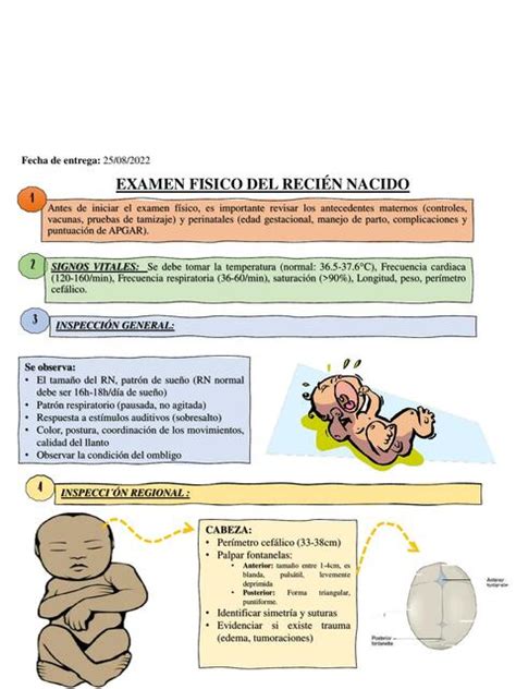 Examen Fisico Del Reci N Nacido Udocz