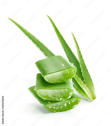 Aloe vera plant showcasing freshly dissected section Stock-Foto | Adobe ...