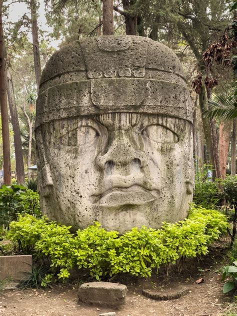 Ancient Colossus Olmec Stone Head Stands Guard In Verdant Park Stock