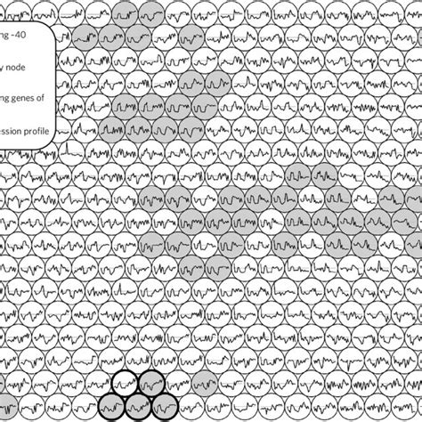 Localization Of The Mia Pathway In C Roseus Download Scientific Diagram