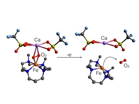 Research Pinpoints Role Of Helper Atoms In Oxygen Release