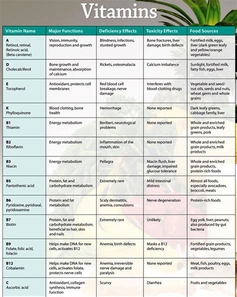 General Knowledge And Inspirations Vitamins Functions Deficiency Toxicity And Sources