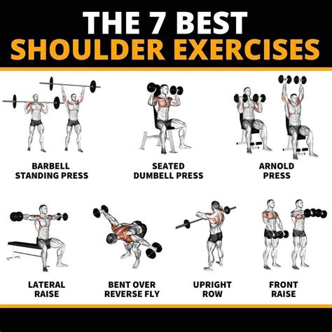 The 7 Best Shoulder Exercises R LoveWithFitness