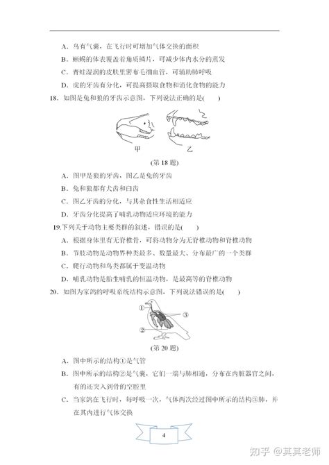 人教版八年级生物上册第五单元第一章达标测试卷含答案 知乎