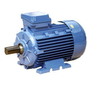 Three Phase Motor Sie L A Cantoni Motor Induction V V