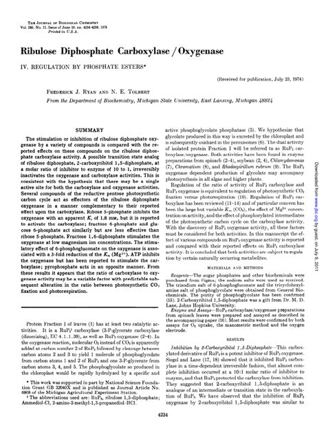 Pdf Ribulose Diphosphate Carboxylaseoxygenase Iv Regulation By