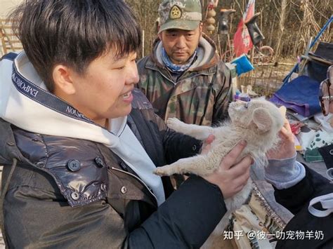 走访“李哥流浪狗收养中心”心酸之余，更多的是感动 知乎