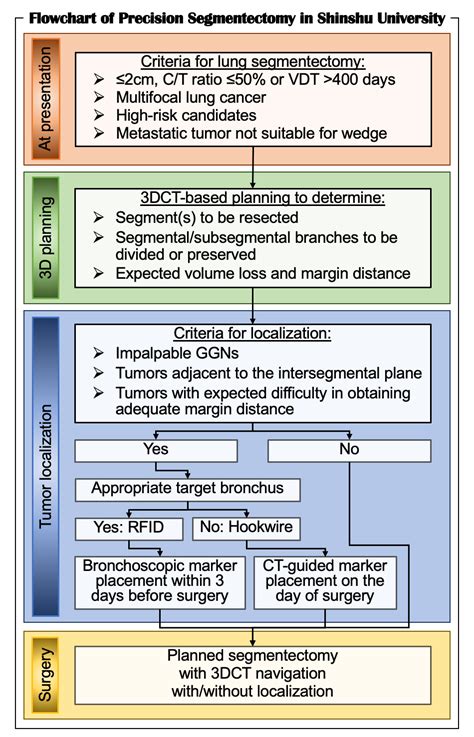 Segmentectomy For Lung Cancer Encyclopedia Mdpi