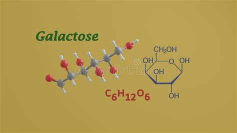 Galactose 3d Model Stock Illustrations 51 Galactose 3d Model Stock Illustrations Vectors