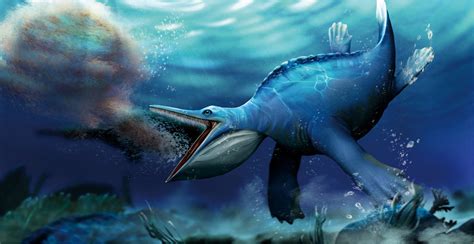 Long before whales, pioneering marine reptile was a filter-feeder | Reuters