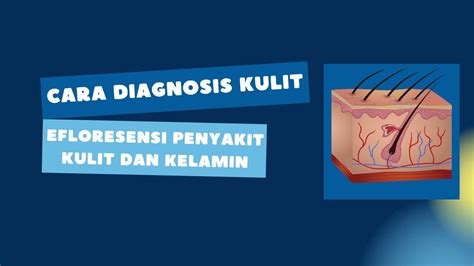 Efloresensi Penyakit Kulit Cara Diagnosis Penyakit Kulit Dermatologi