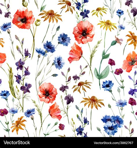 Wildflowers Royalty Free Vector Image Vectorstock