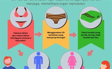 Membuat Poster Menjaga Kebersihan Alat Reproduksi Poster Otosection