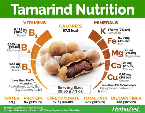 Tamarind | HerbaZest