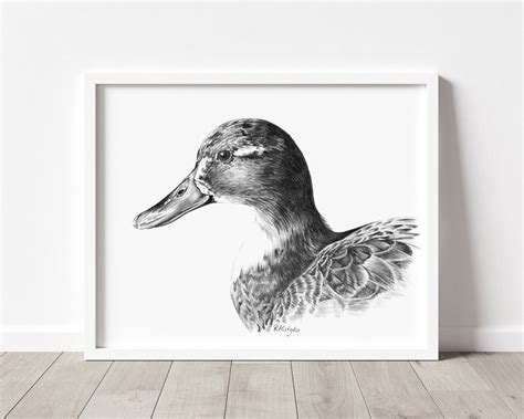 PRINTABLE Duck Art Print Duck Pencil Drawing Wall Art Etsy