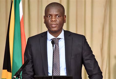 Ronald Lamola Biography Age Wife Career And Net Worth Wiki South Africa