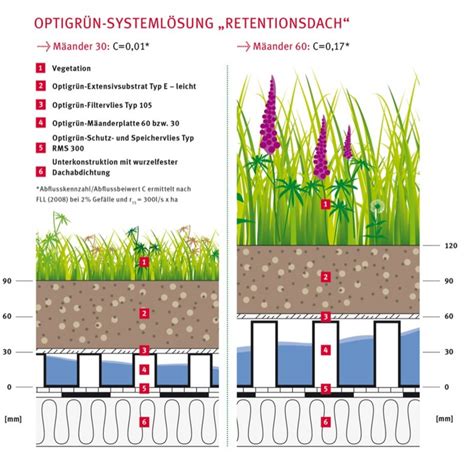 Regenwassermanagement Auf Dem Begrünten Dach Neue Landschaft